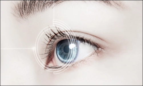 Visual Research Image