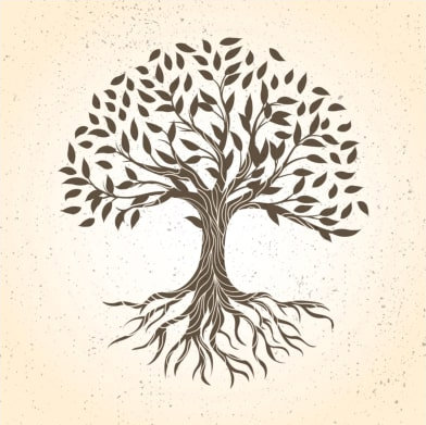 Genealogy Research